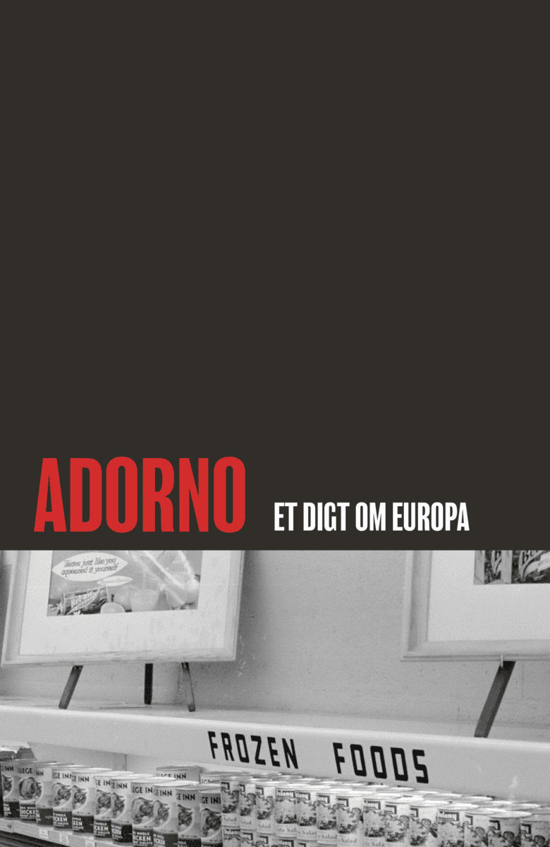 Christian Stokbro Karlsen : Adorno