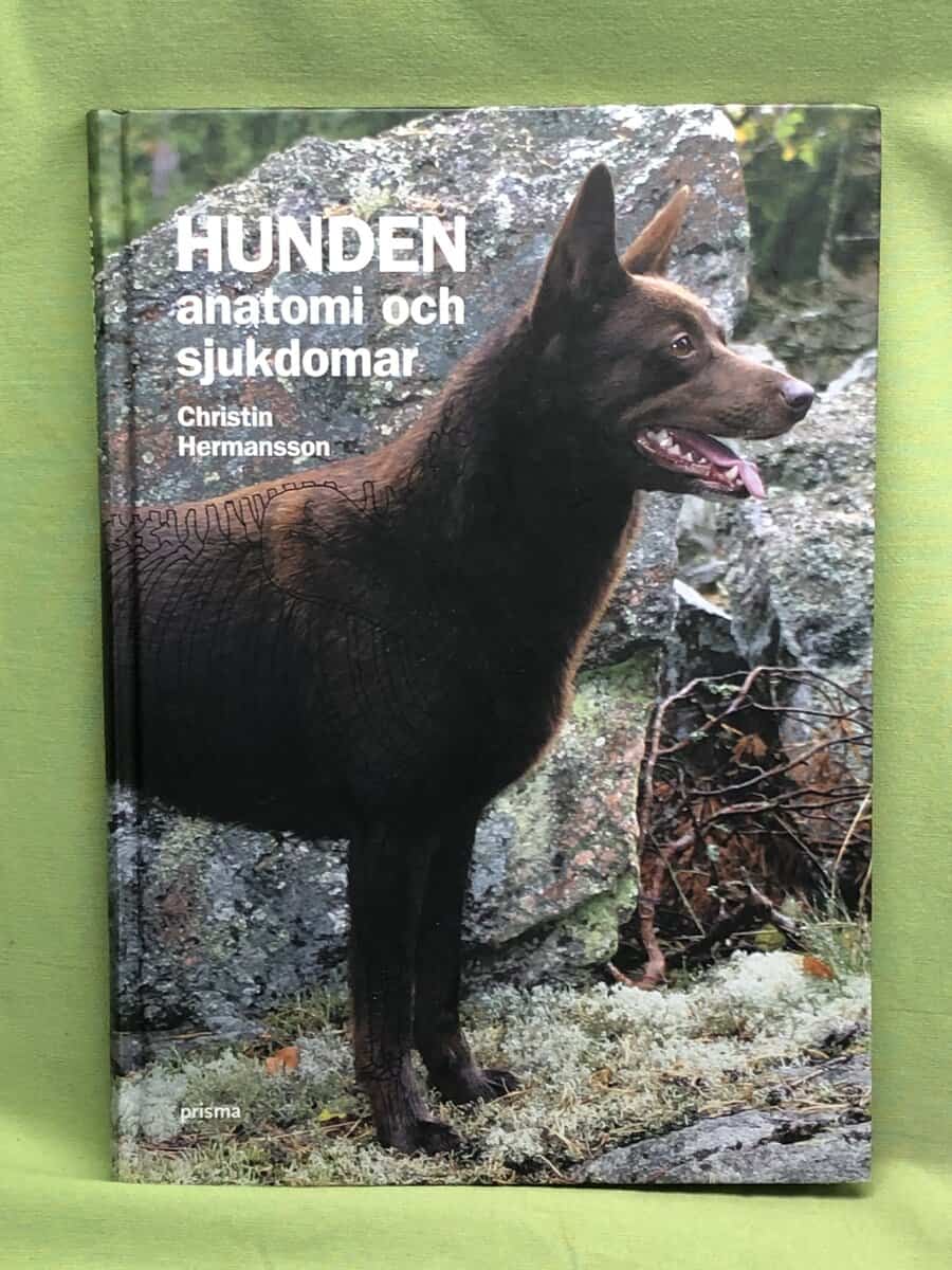 Christin Hermansson : Hunden