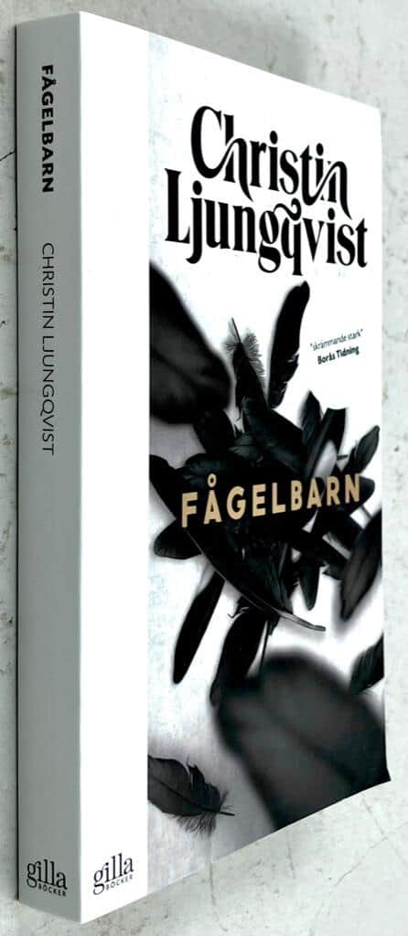 Christin Ljungqvist : Fågelbarn