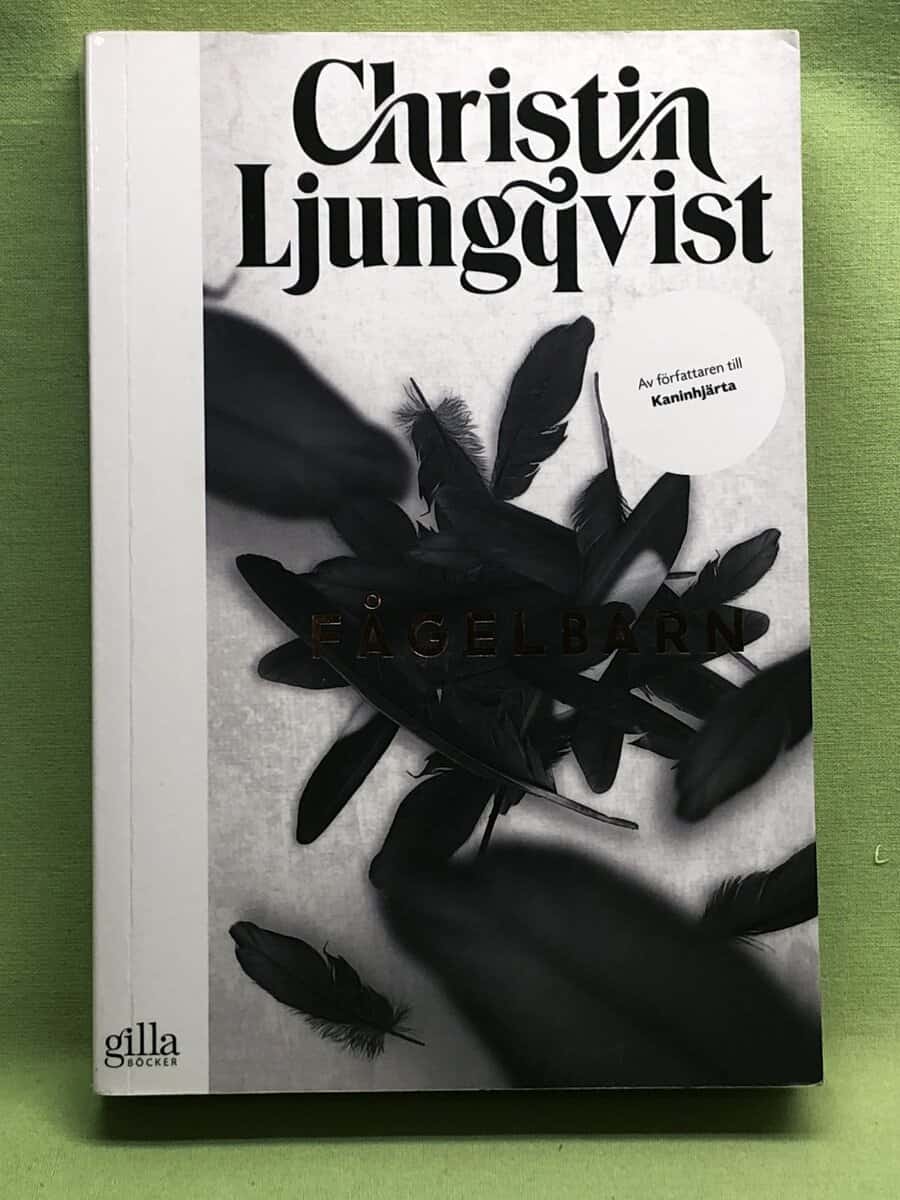 Christin Ljungqvist : Fågelbarn