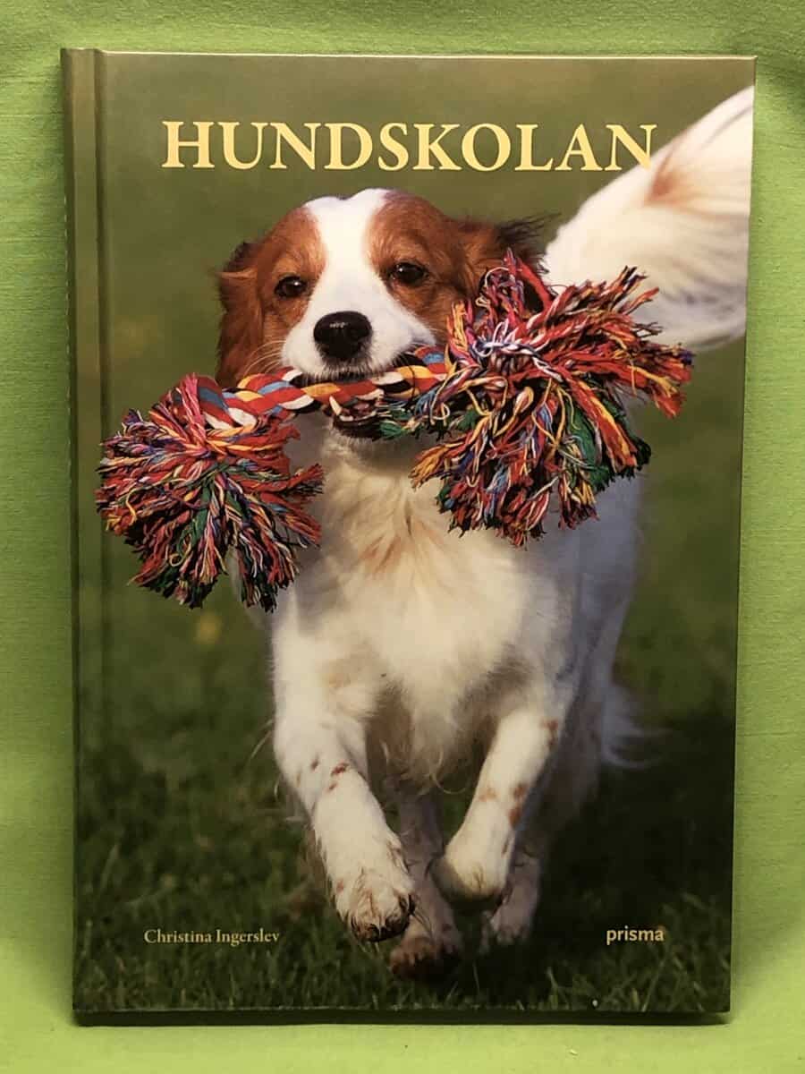 Christina Ingerslev : Hundskolan