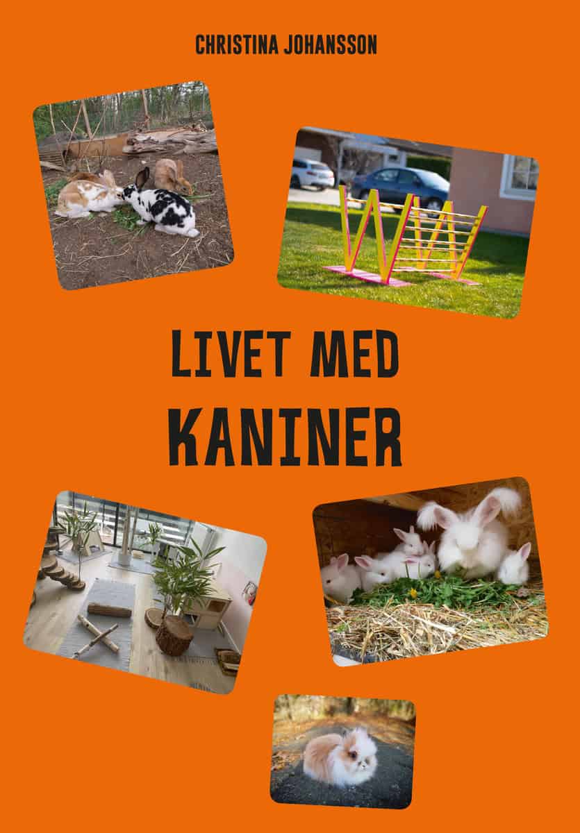 Christina Johansson : Livet med kaniner