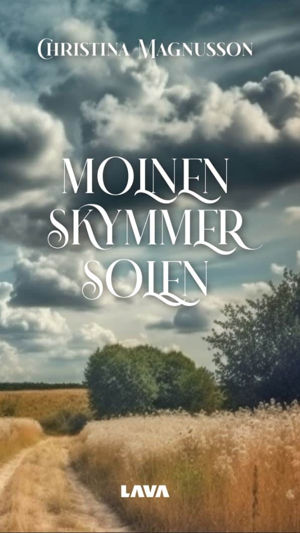 Christina Magnusson : Molnen skymmer solen