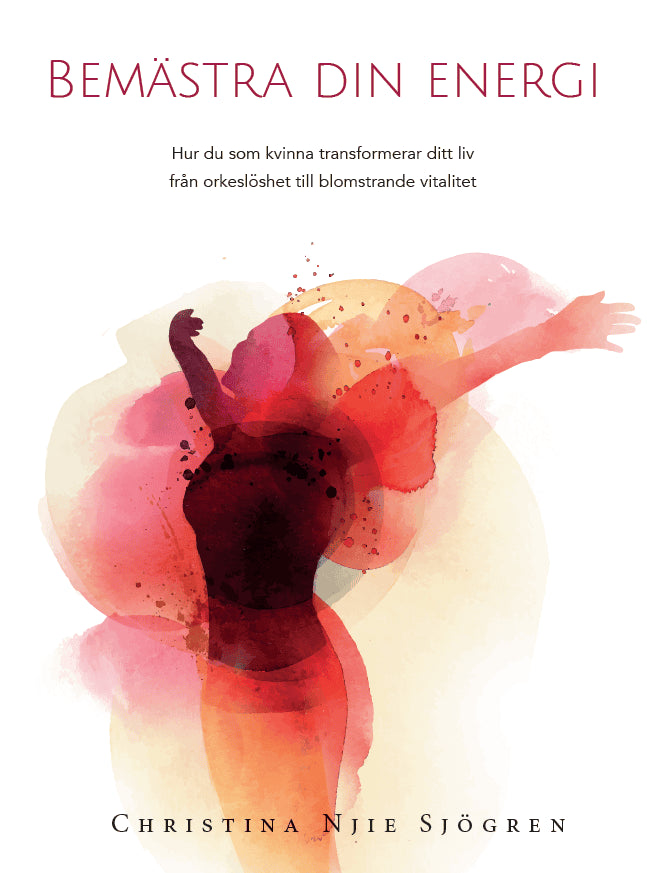 Christina Njie Sjögren : Bemästra din energi