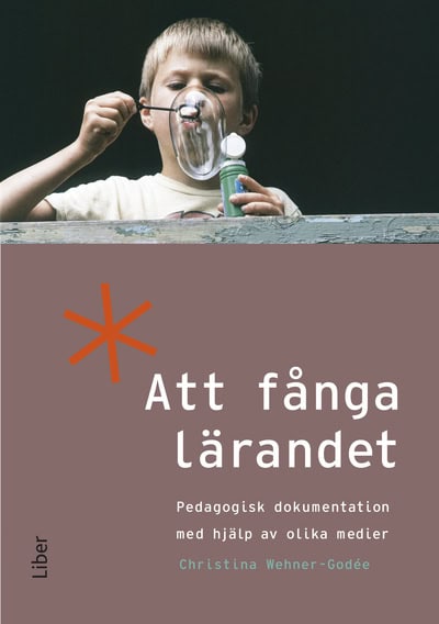 Christina Wehner-Godée : Att fånga lärandet