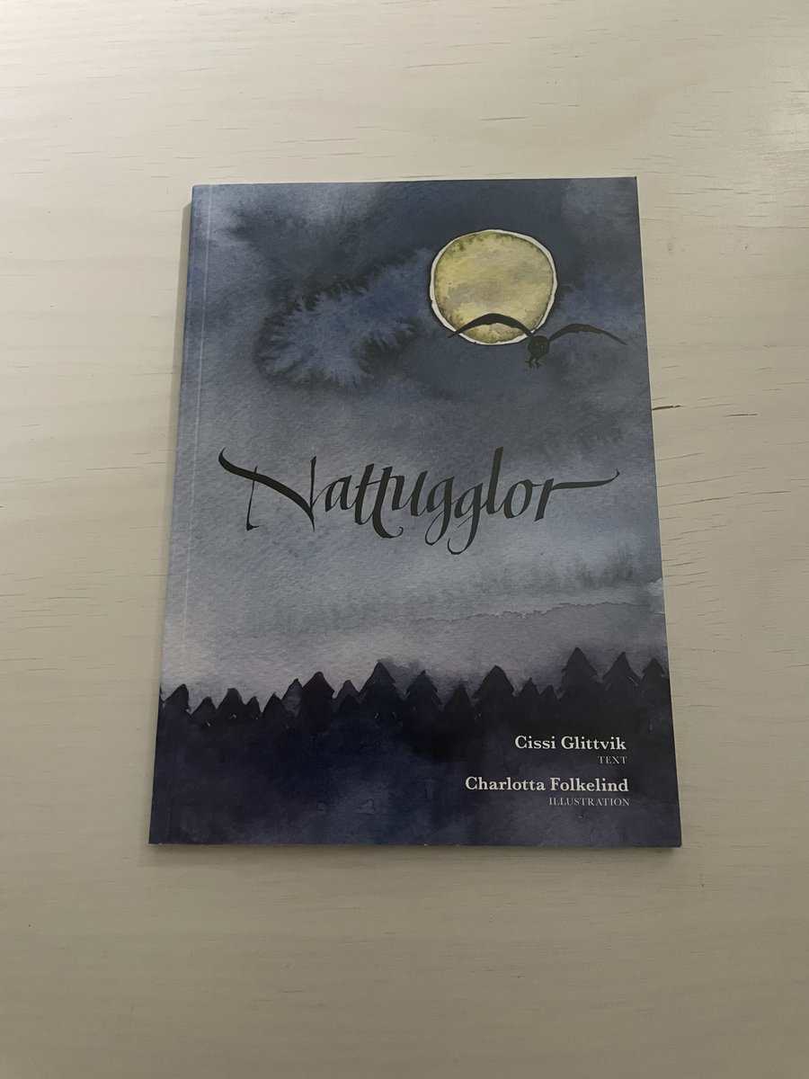 Cissi Glittvik : Nattugglor