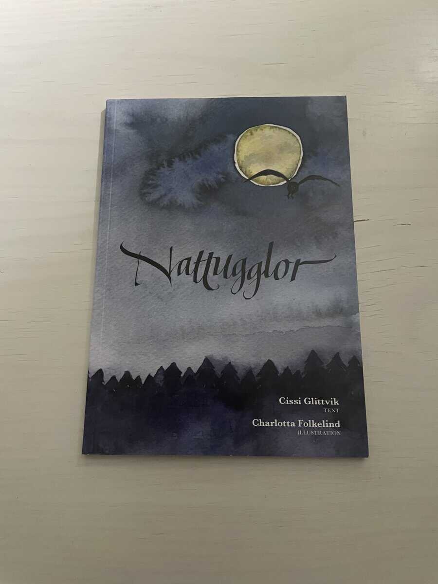 Cissi Glittvik : Nattugglor