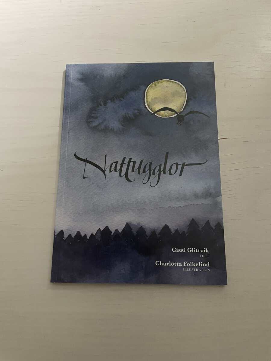 Cissi Glittvik : Nattugglor
