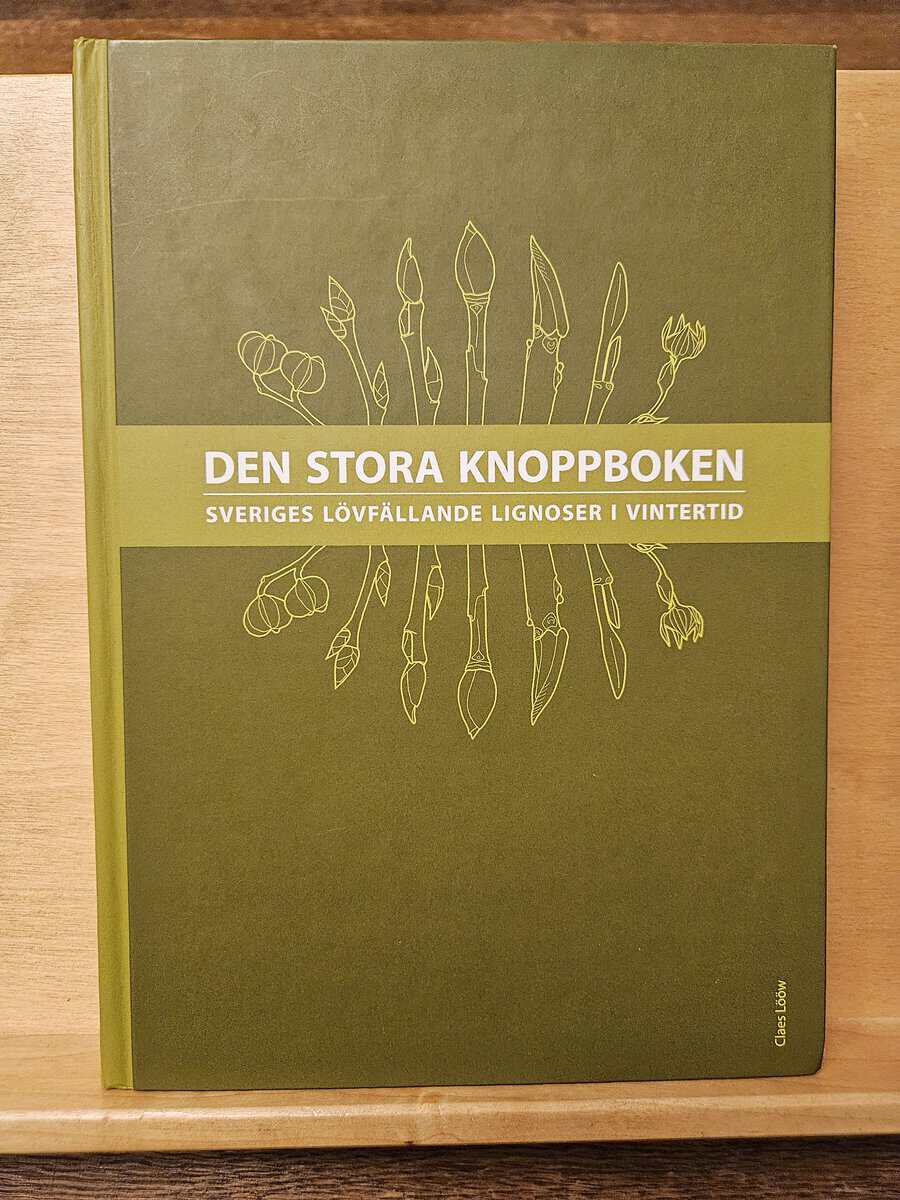 Claes Lööw : Den stora knoppboken
