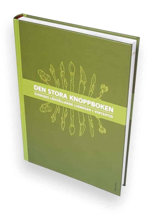 Claes Lööw : Den stora knoppboken