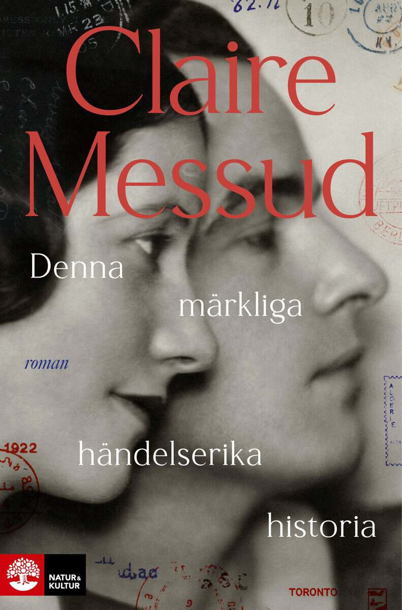 Claire Messud : Denna märkliga händelserika historia