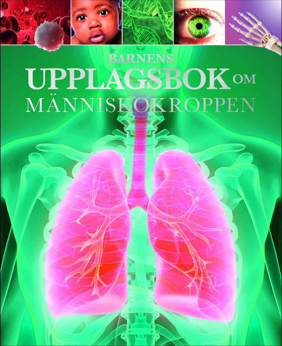 Clare Hibbert : Barnens uppslagsbok om människokroppen