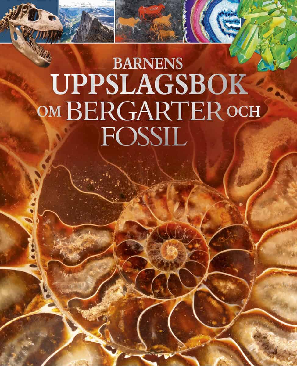 Claudia Martin : Barnens uppslagsbok om bergarter och fossil