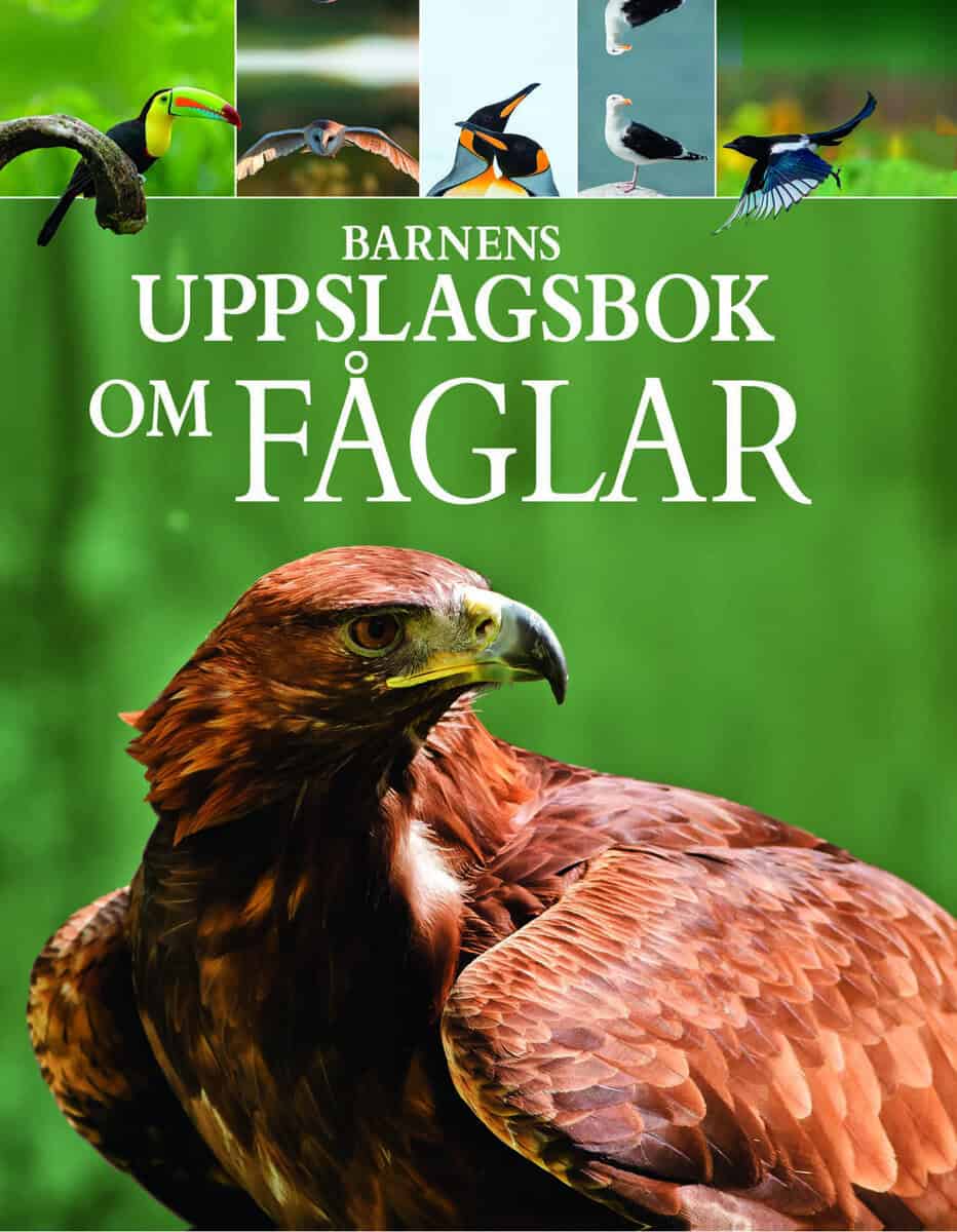 Claudia Martin : Barnens uppslagsbok om fåglar