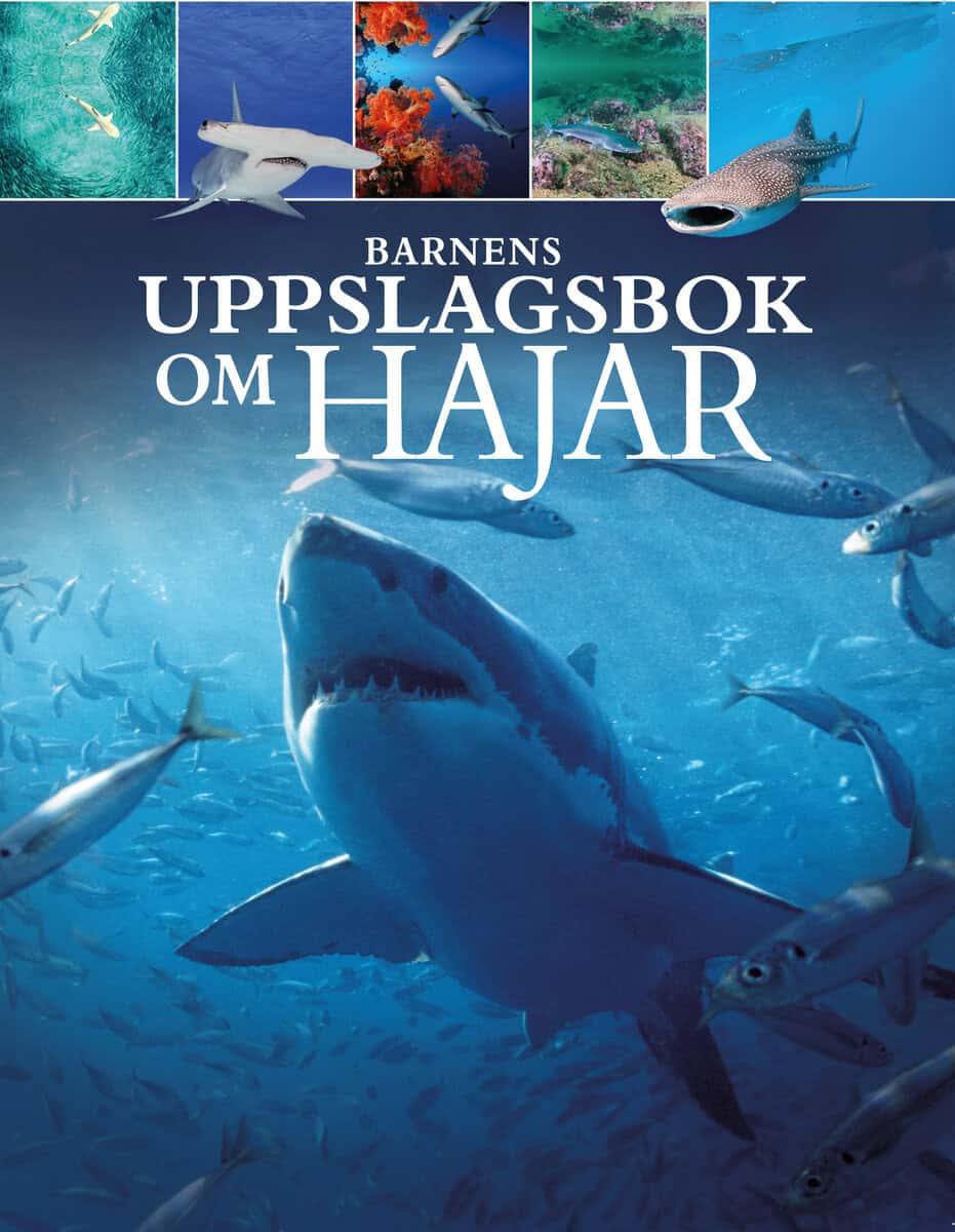 Claudia Martin : Barnens uppslagsbok om hajar