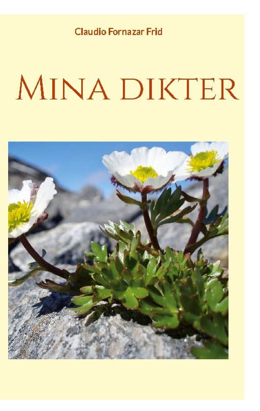 Claudio Fornazar Frid : Mina dikter