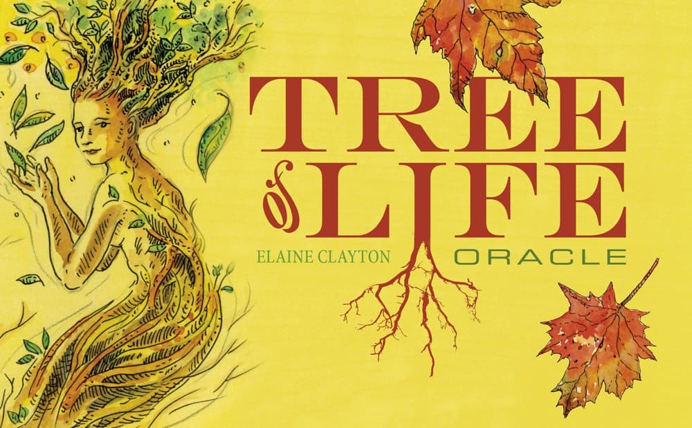 Clayton Elaine : Tree of Life Oracle