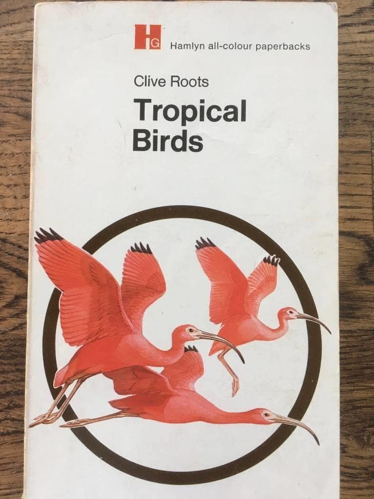 Clive Roots : Tropical birds