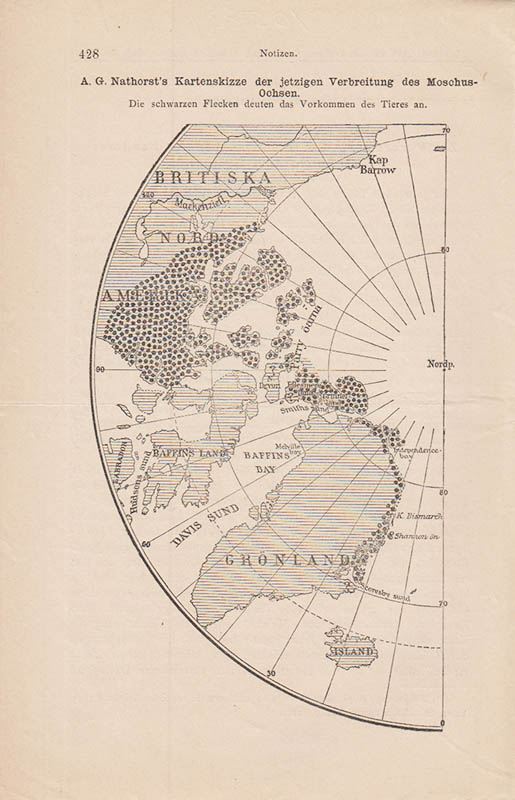 Conwentz : Zur Verbreitung des Moschusochsen und anderer. Tiere in Nordost-Grönland