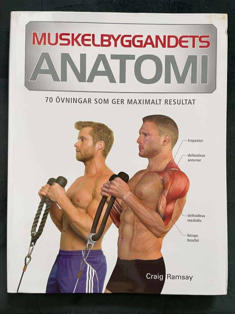 Craig Ramsay : Muskelbyggandets anatomi