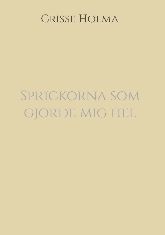 Crisse Holma : Sprickorna som gjorde mig hel
