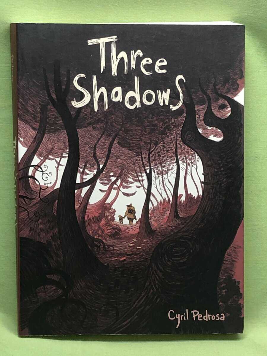 Cyril Pedrosa : Three Shadows