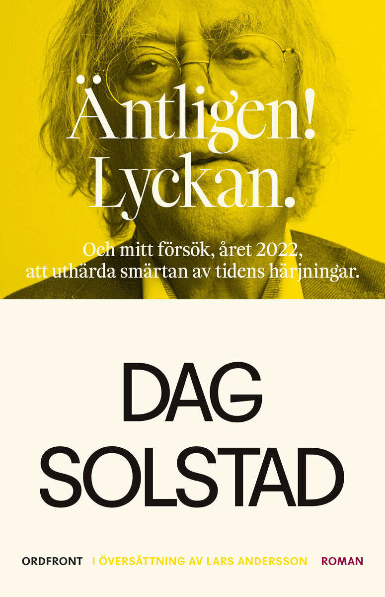 Dag Solstad : Äntligen! Lyckan