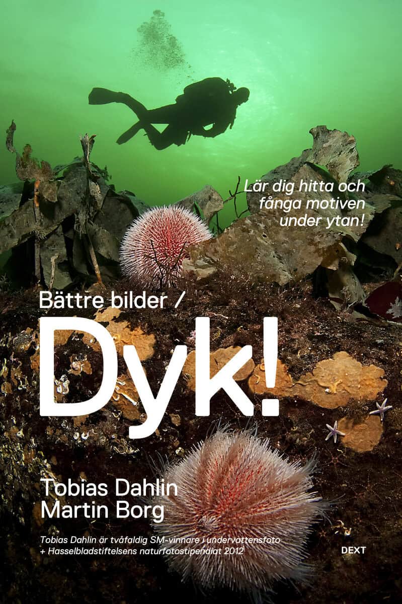 Dahlin, Tobias ; Borg, Martin : Bättre bilder / Dyk! : lär dig hitta och fånga motiven under ytan