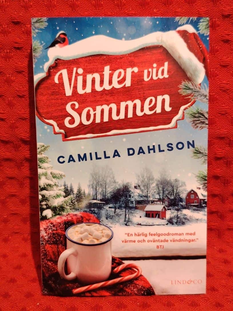 Dahlson, Camilla, 1973- : Vinter vid Sommen
