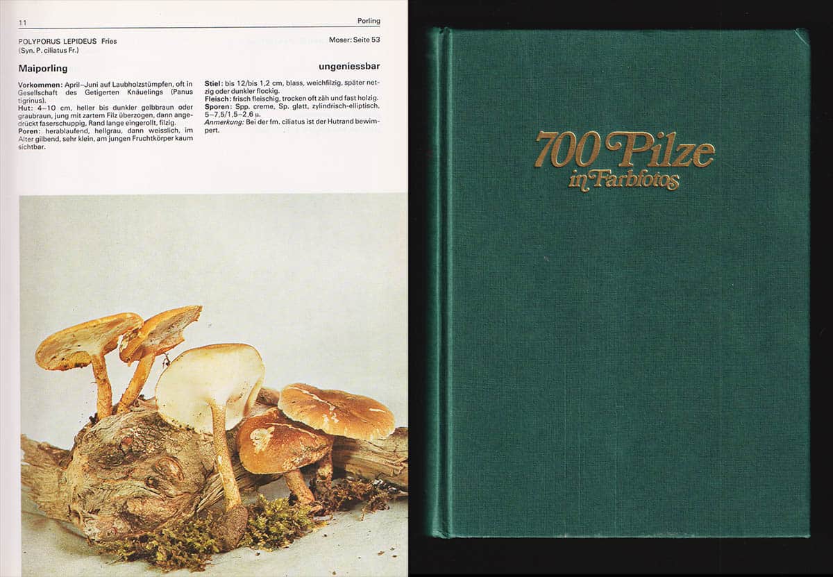 Dähncke, Rose Marie ; Dähncke, Sabine Maria : 700 Pilze in Farbfotos (tysk svampbok)