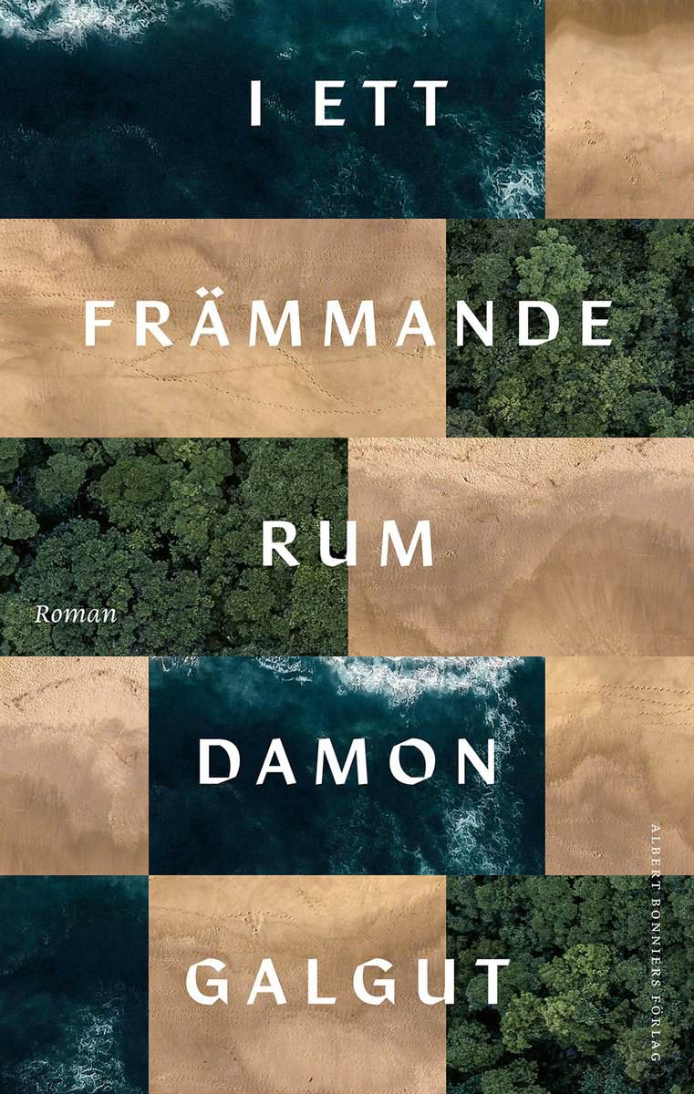 Damon Galgut : I ett främmande rum