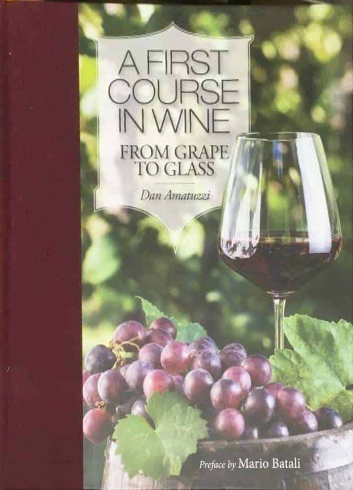 Dan Amatuzzi : A first course of wine - from grape to glass