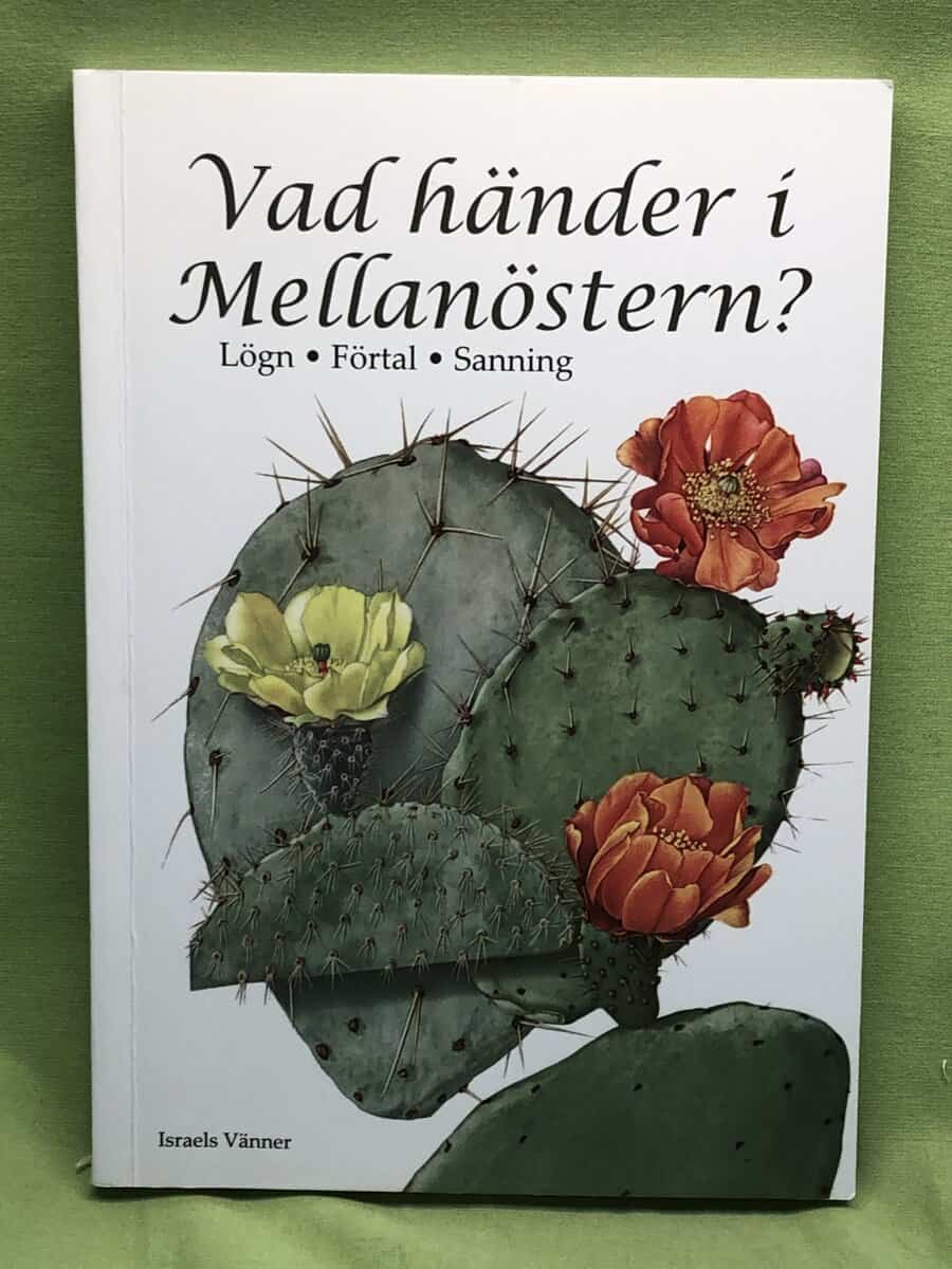 Dan Johansson : Vad händer i Mellanöstern?