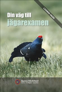 Dan Törnström : Din väg till jägarexamen