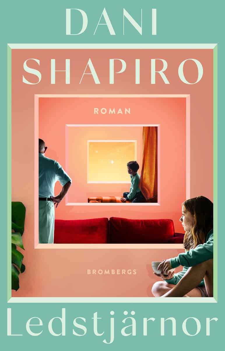 Dani Shapiro : Ledstjärnor