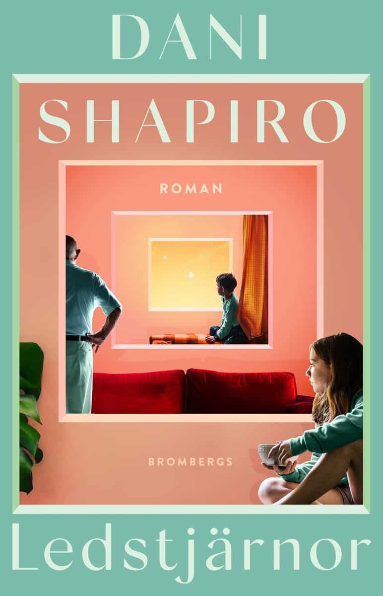 Dani Shapiro : Ledstjärnor