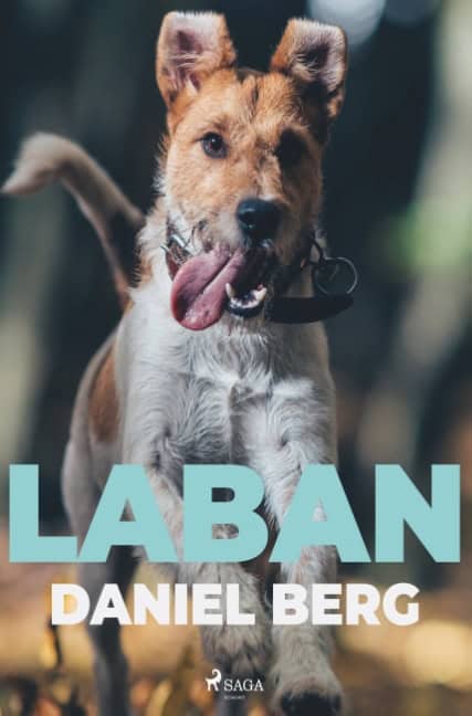 Daniel Berg : Laban