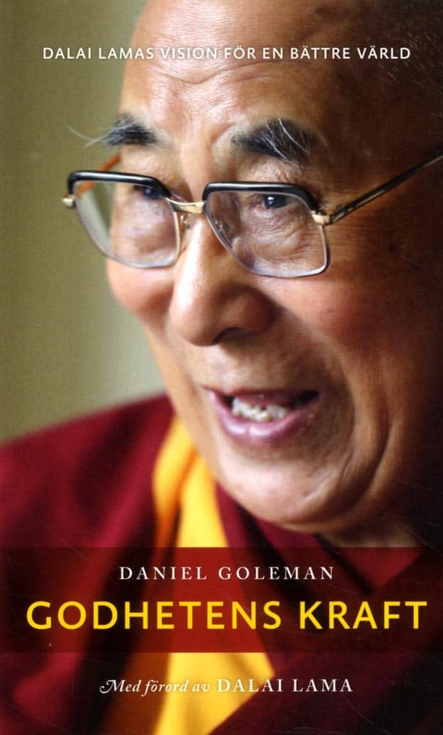 Daniel Goleman : Godhetens kraft