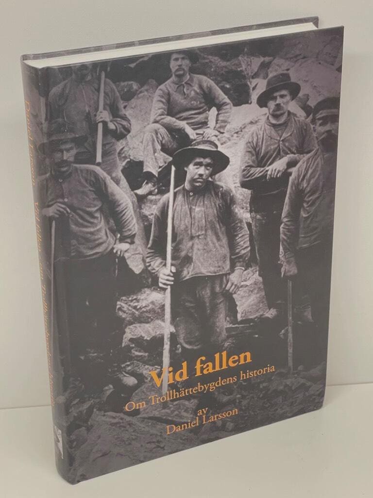 Daniel Larsson : Vid fallen