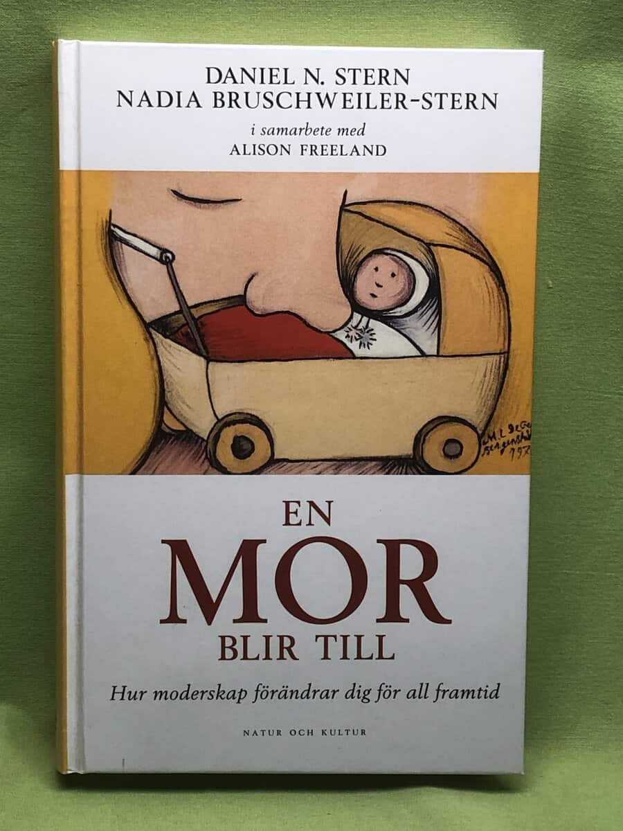 Daniel N. Stern : En mor blir till