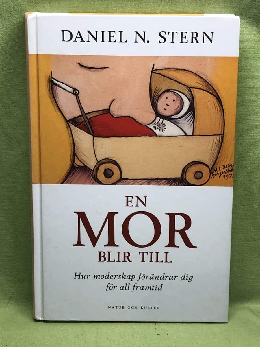 Daniel N. Stern : En mor blir till