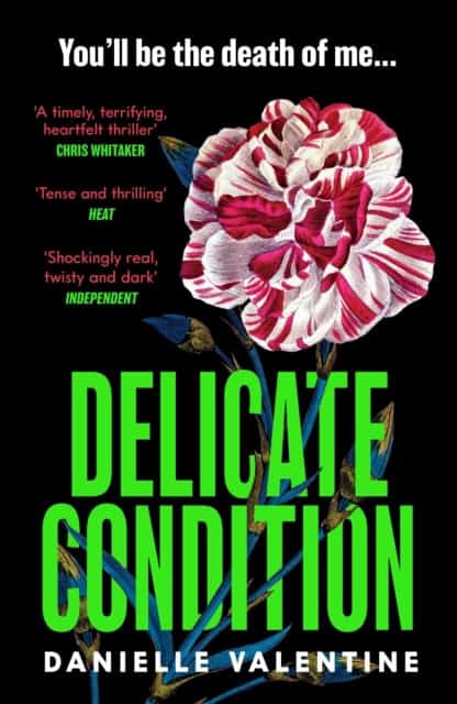 Danielle Valentine : Delicate Condition