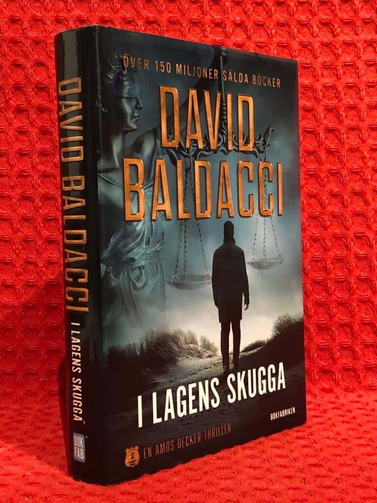 David Baldacci : I lagens skugga