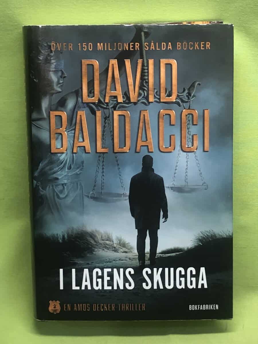 David Baldacci : I lagens skugga