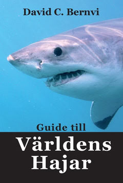 David C. Bernvi : Guide till världens hajar