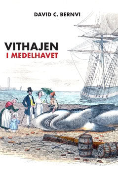 David C. Bernvi : Vithajen i Medelhavet