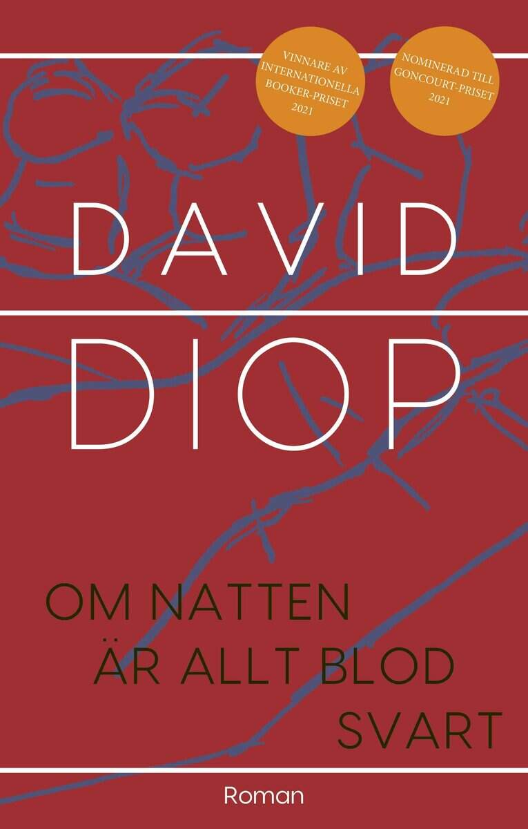 David Diop : Om natten är allt blod svart