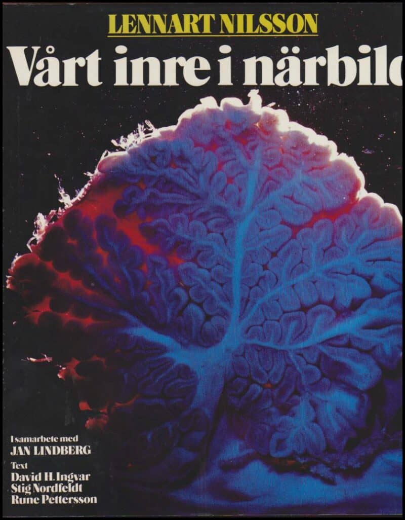 David H. m fl Ingvar : Vårt inre i närbild