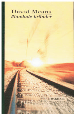 David Means : Blandade bränder. Noveller