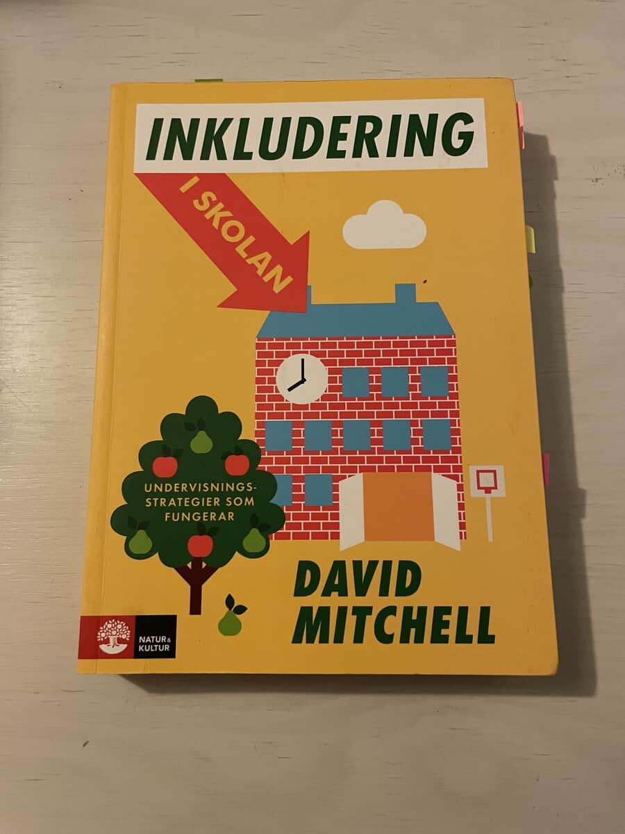 David Mitchell : Inkludering i skolan